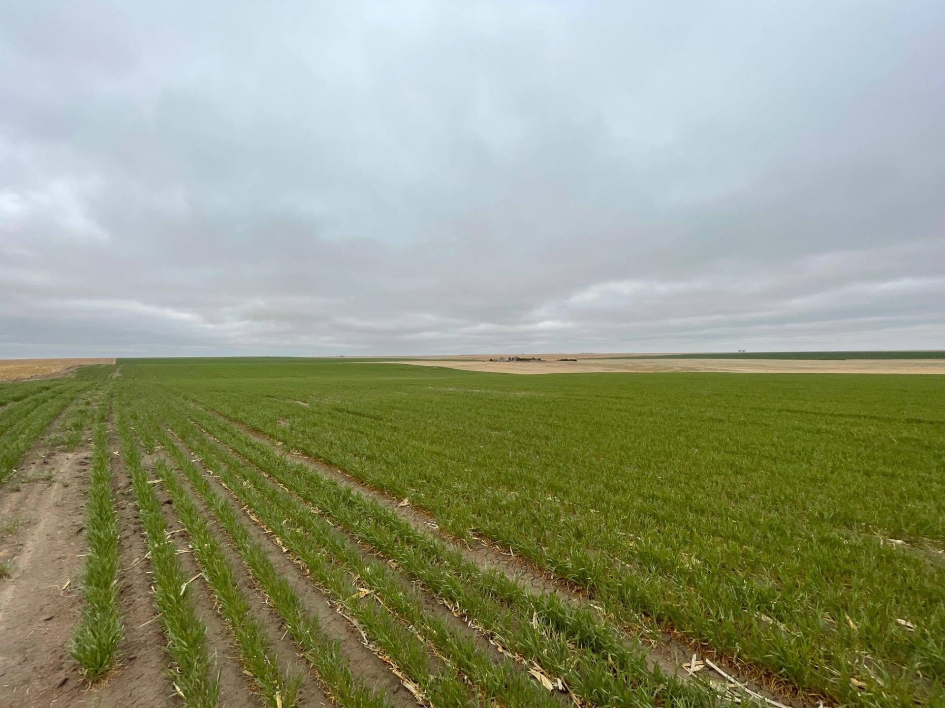 Kanorado, Sherman County, KS Undeveloped Land for sale Property ID