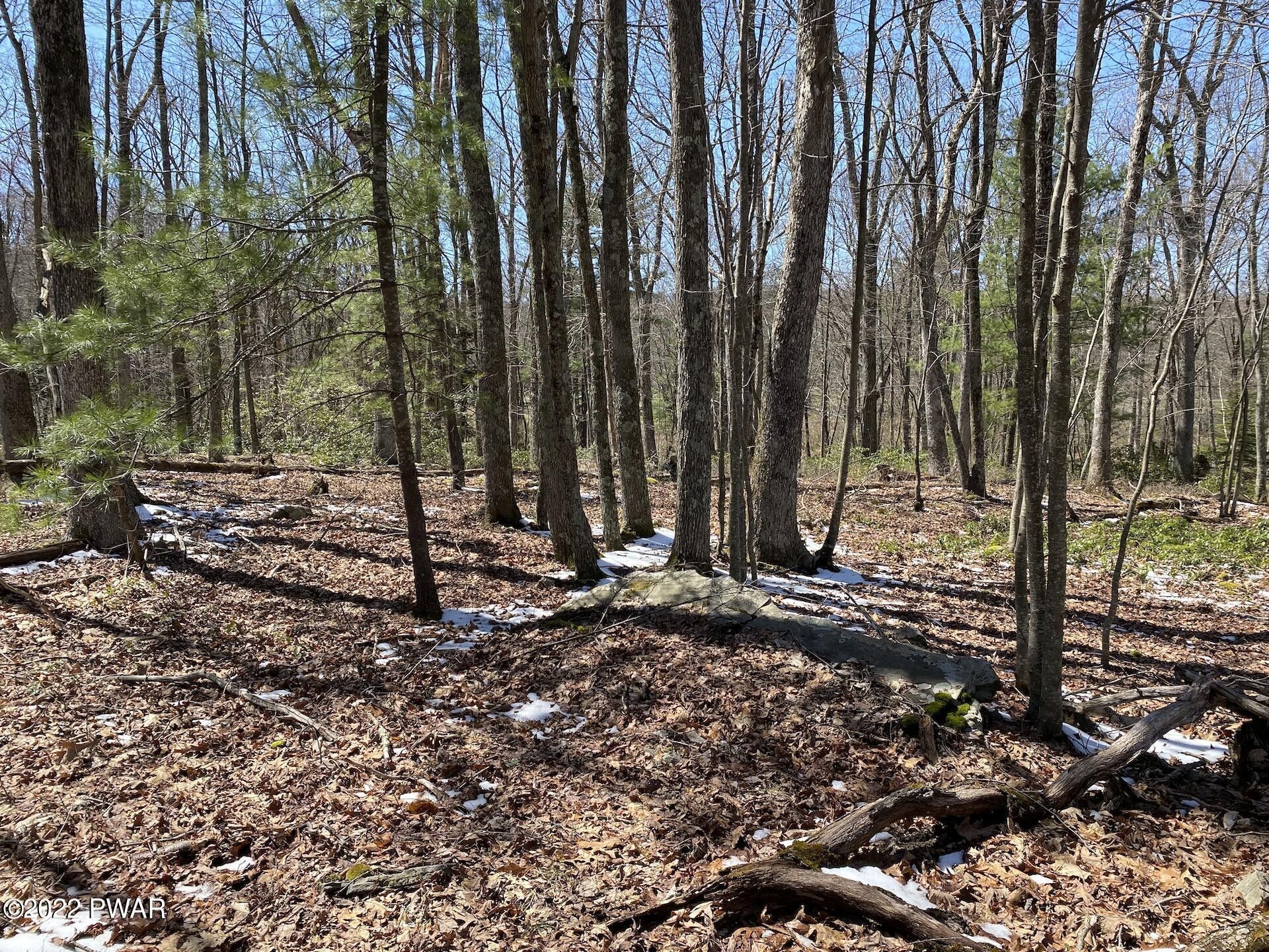 Milford, Pike County, PA Undeveloped Land, Lakefront Property