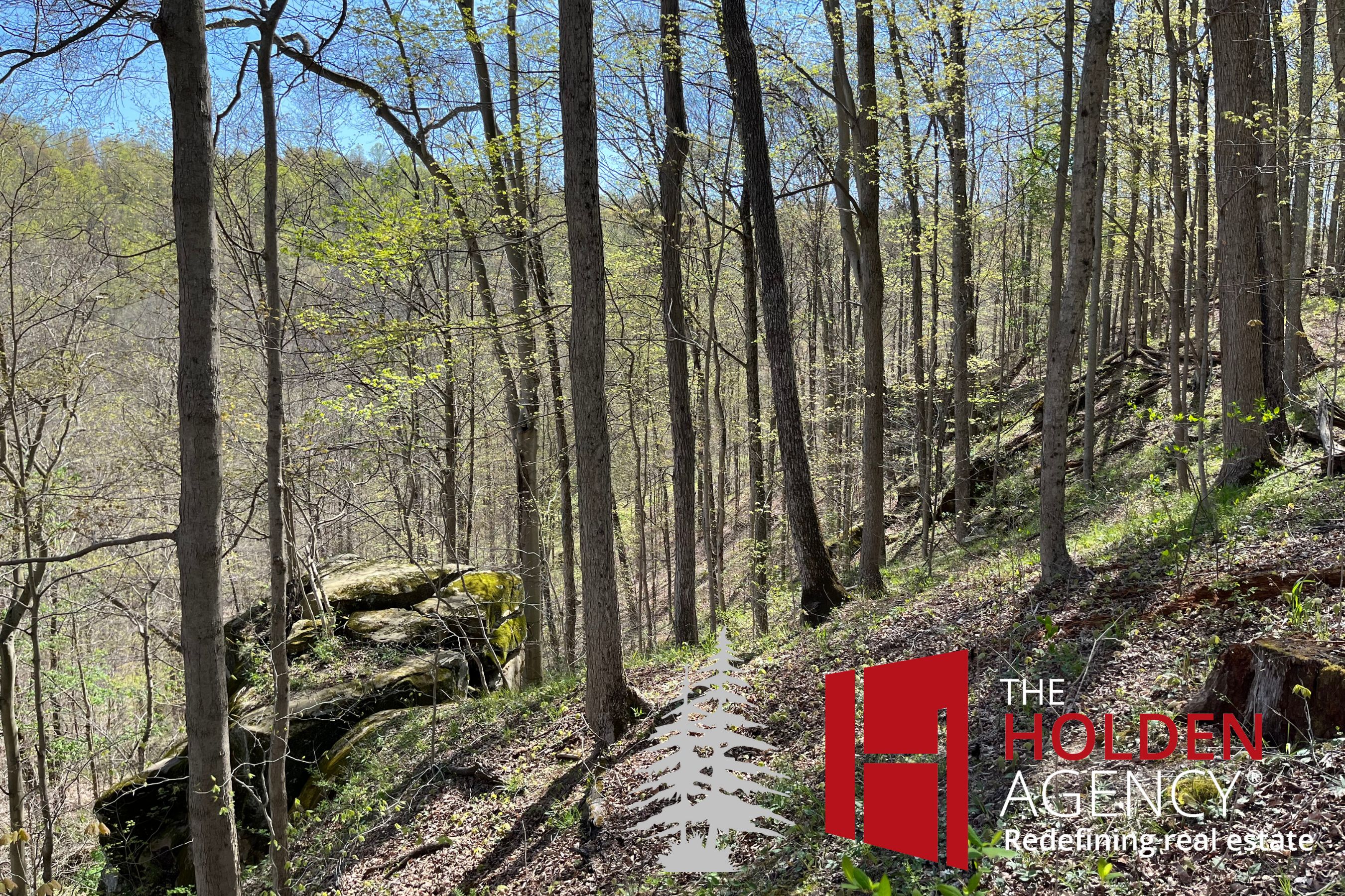 Sardis, Monroe County, OH Recreational Property, Undeveloped Land