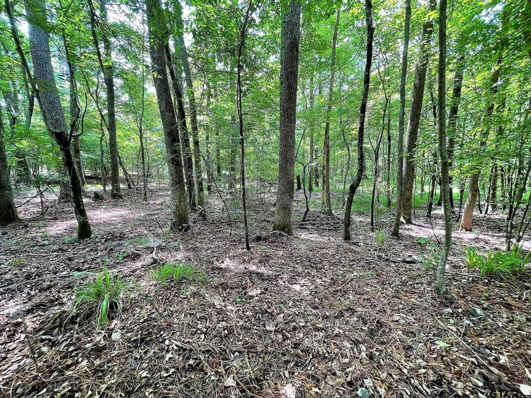 Frankston, Anderson County, TX Undeveloped Land, Homesites for sale