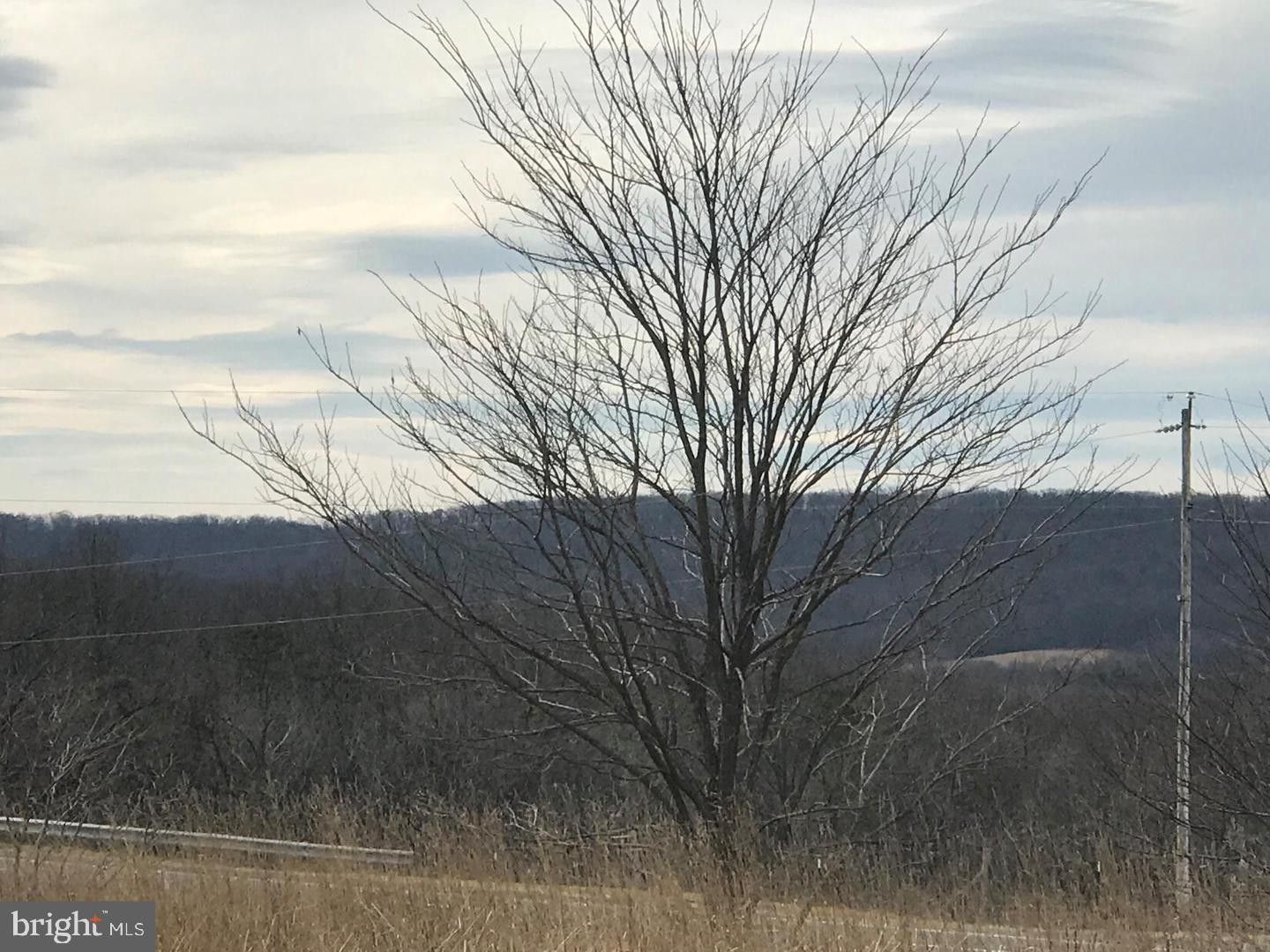 Cross Junction, Frederick County, VA Farms and Ranches for sale