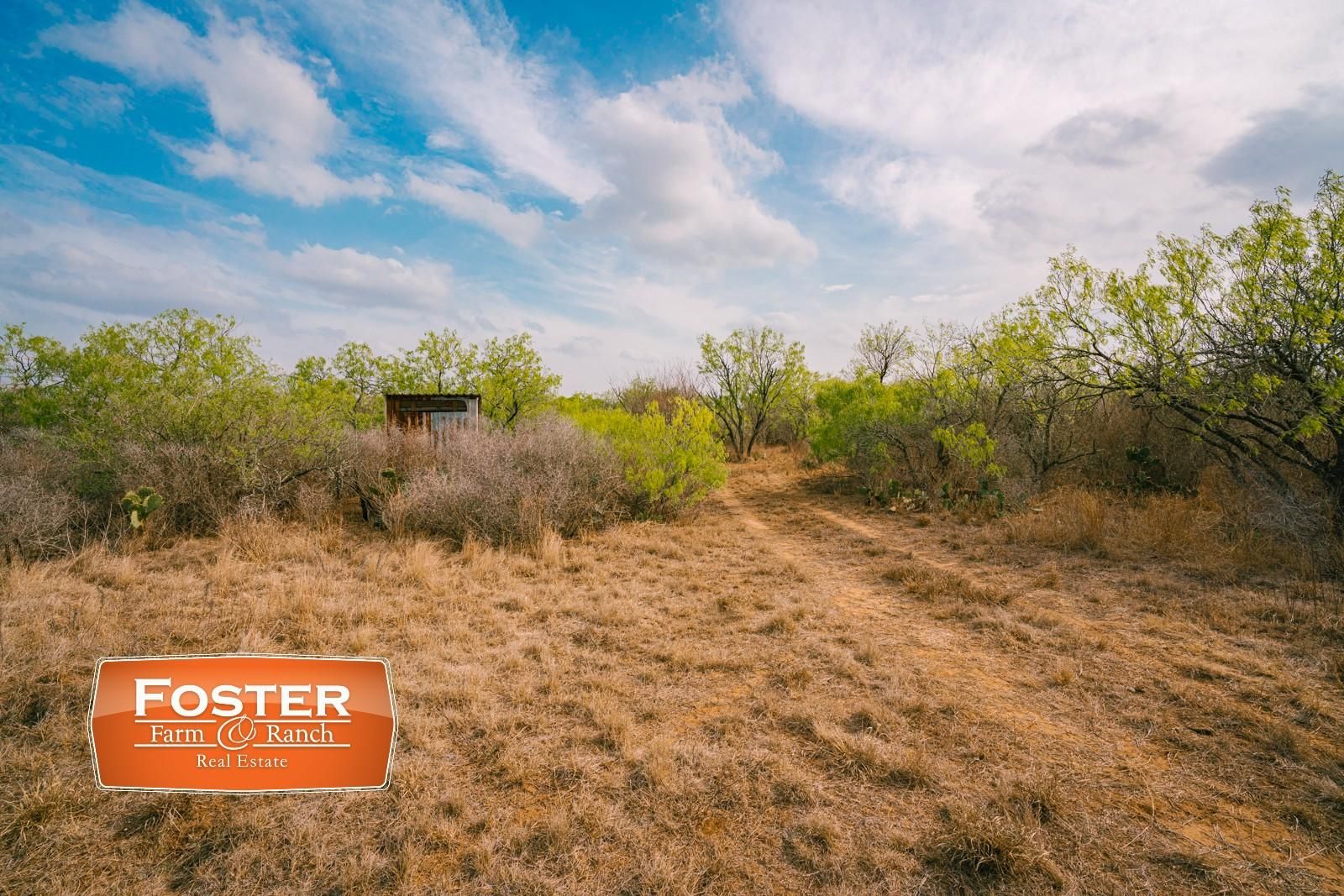 San Diego, Duval County, TX Farms and Ranches, Recreational Property