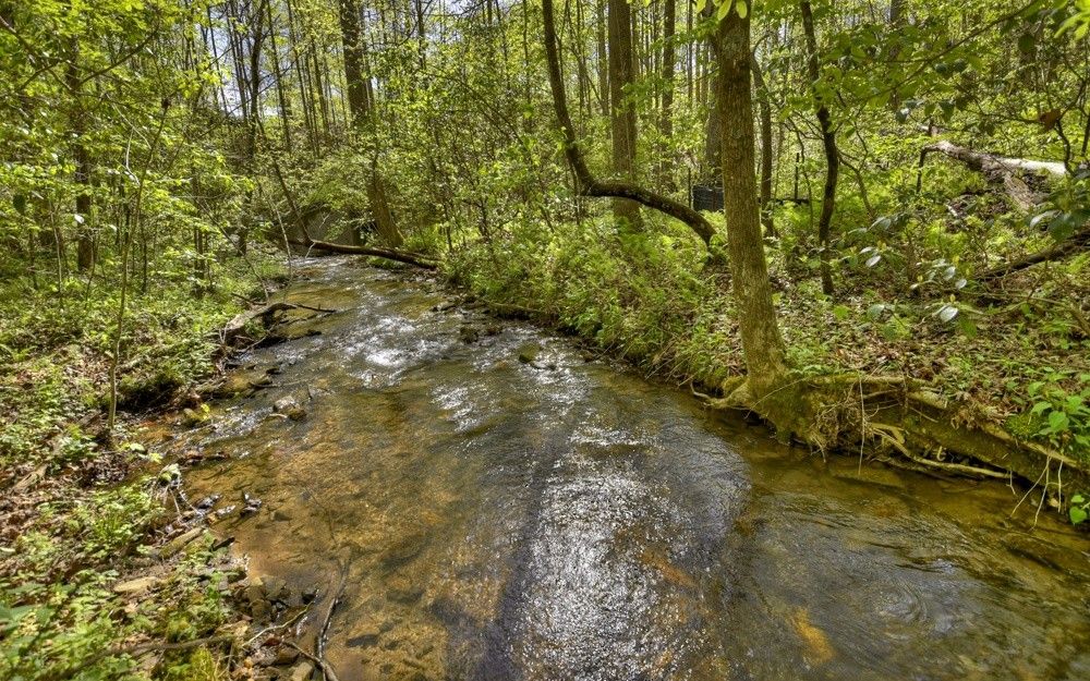 Ellijay, Gilmer County, GA Undeveloped Land for sale Property ID