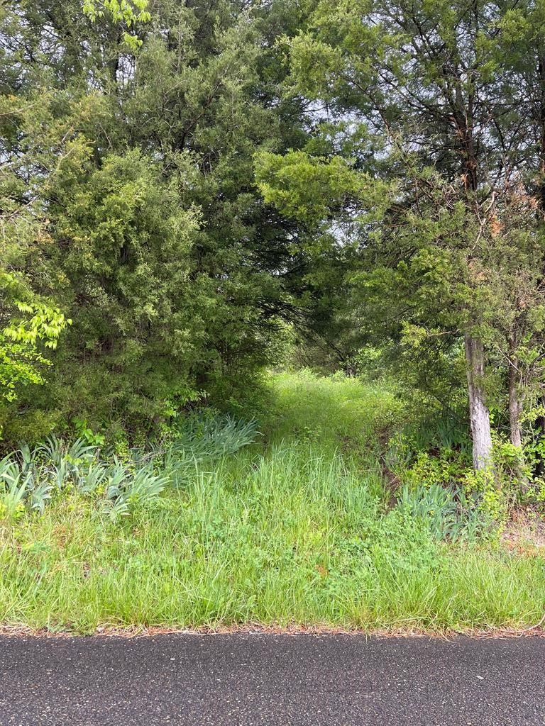 Russellville, Hamblen County, TN Undeveloped Land for sale Property ID