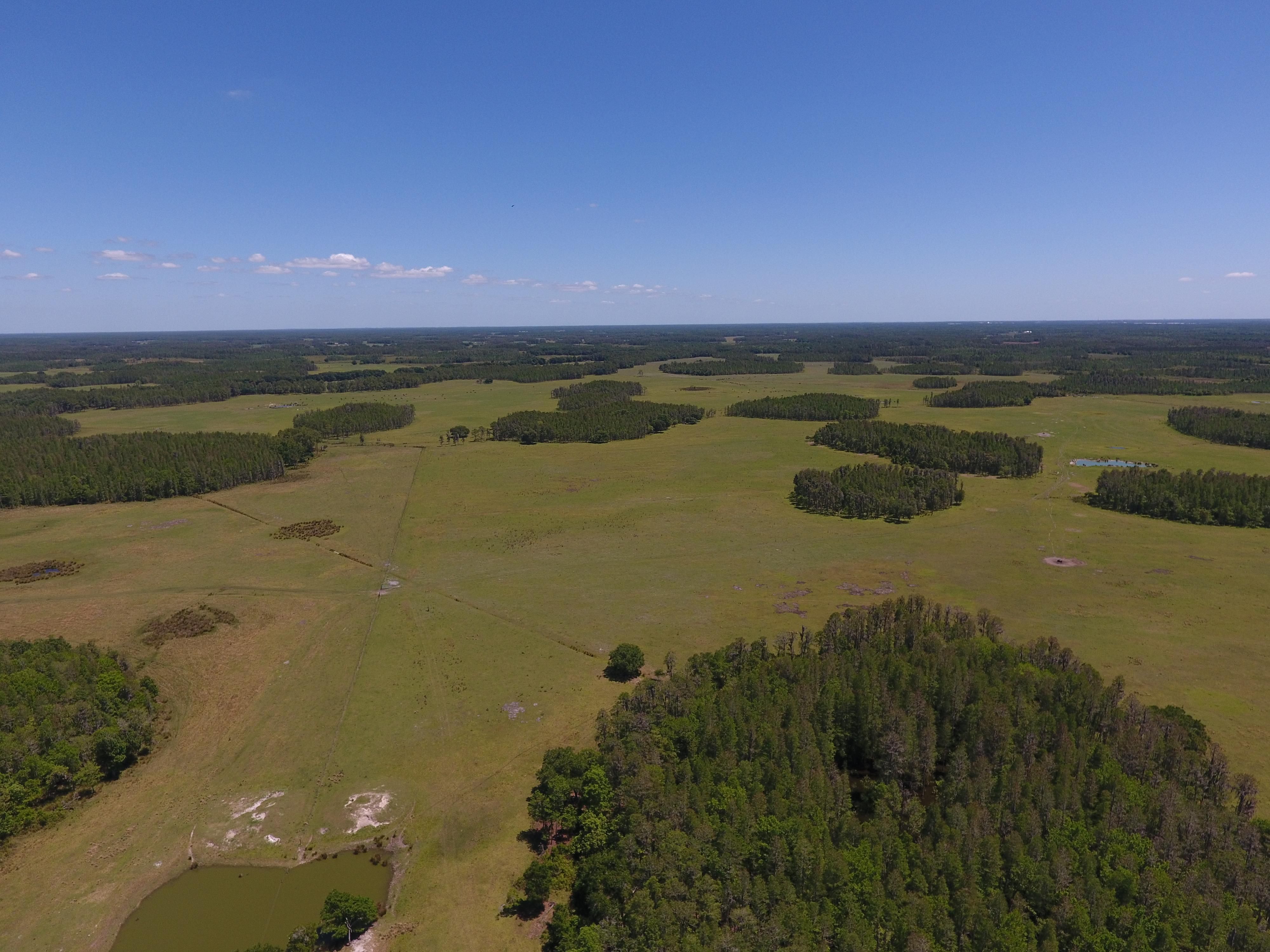 Rockridge Road, Lakeland, FL 33809 LandWatch