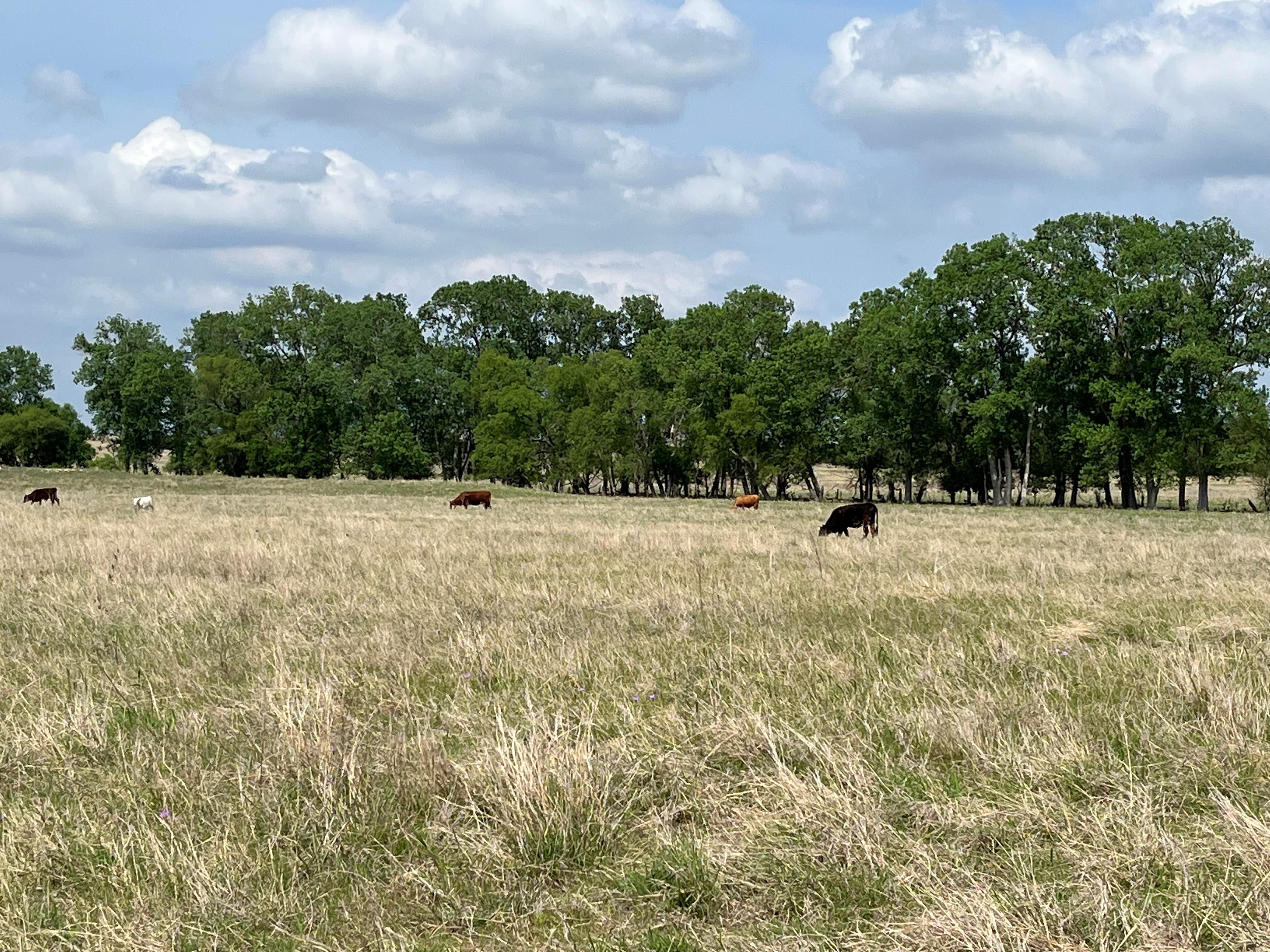 Oglesby, Coryell County, TX Farms and Ranches, Recreational Property