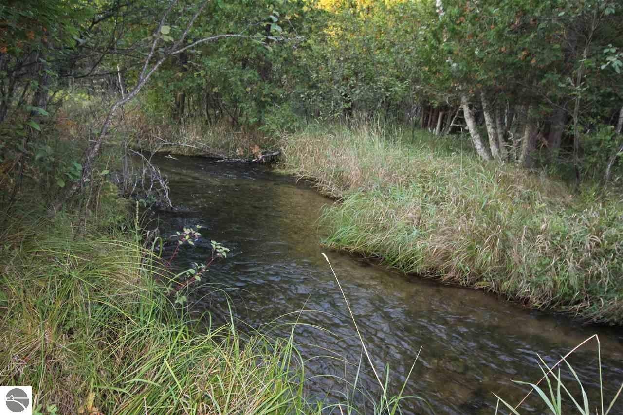 Manton, Wexford County, MI Undeveloped Land, Lakefront Property