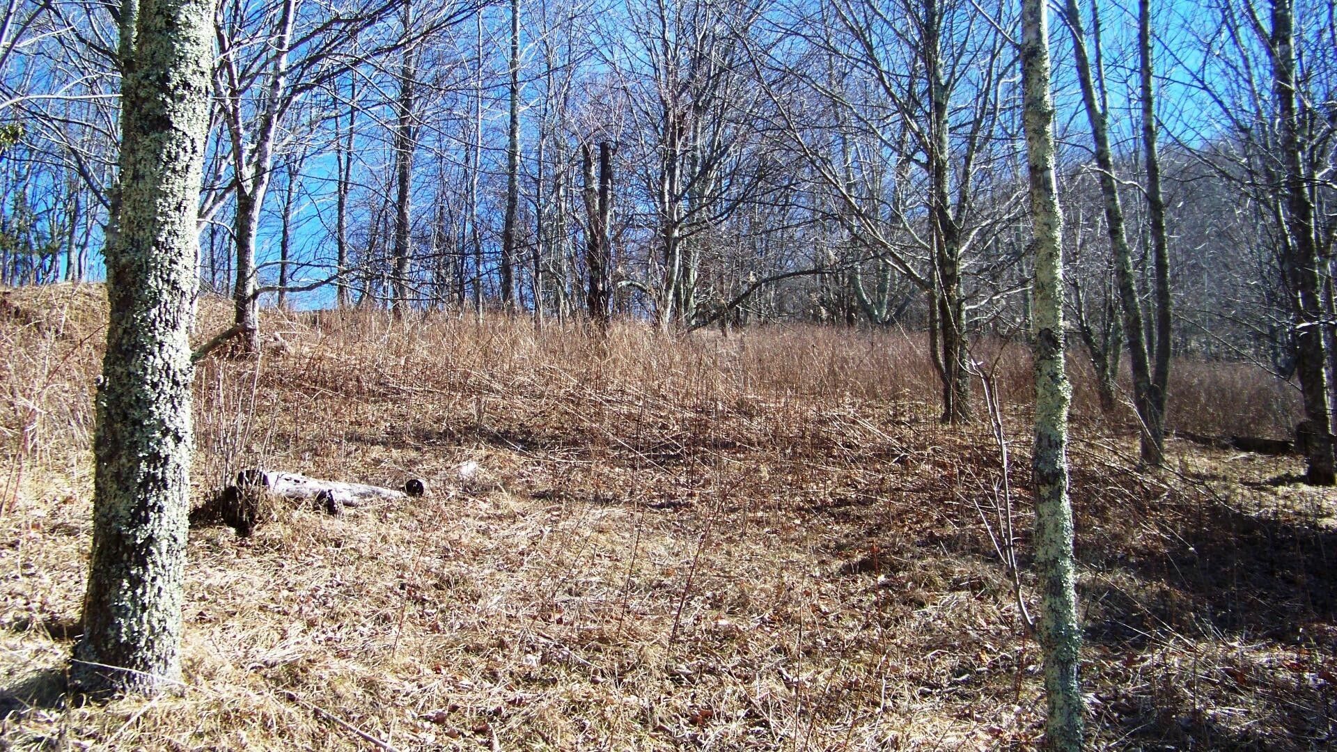Zionville, Watauga County, NC Farms and Ranches, Homesites for sale