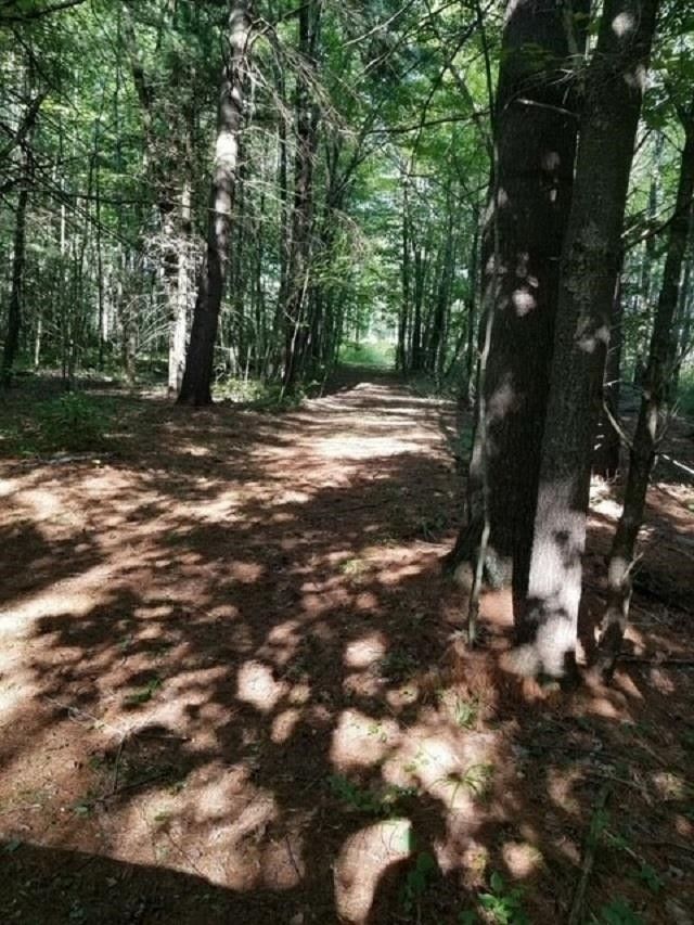 Brasher Falls, Saint Lawrence County, NY Undeveloped Land for sale