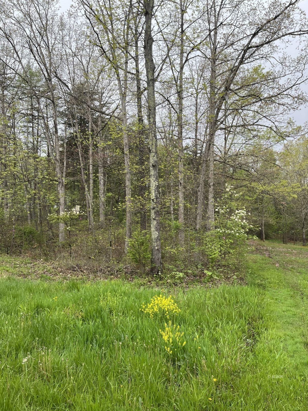 Glouster, Athens County, OH Farms and Ranches for sale Property ID