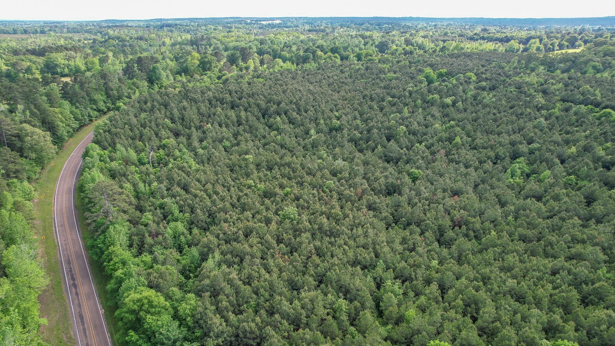 Naples, Cass County, TX Farms and Ranches, Recreational Property