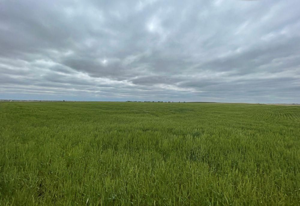 Hazelton, Barber County, KS Farms and Ranches, Hunting Property for