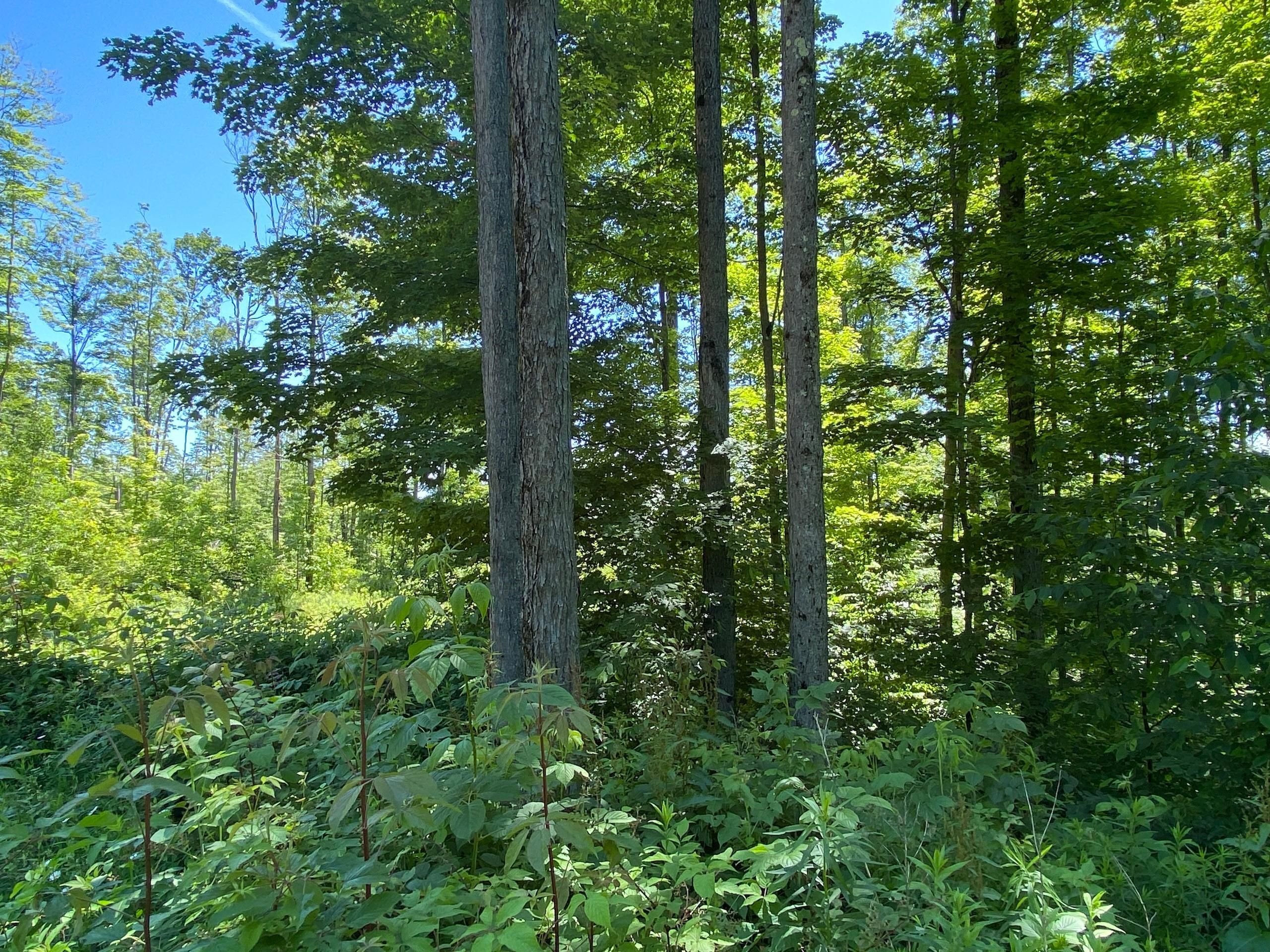 Huntley Rd, LotWP001, Sugar Grove, PA 16350 LandWatch