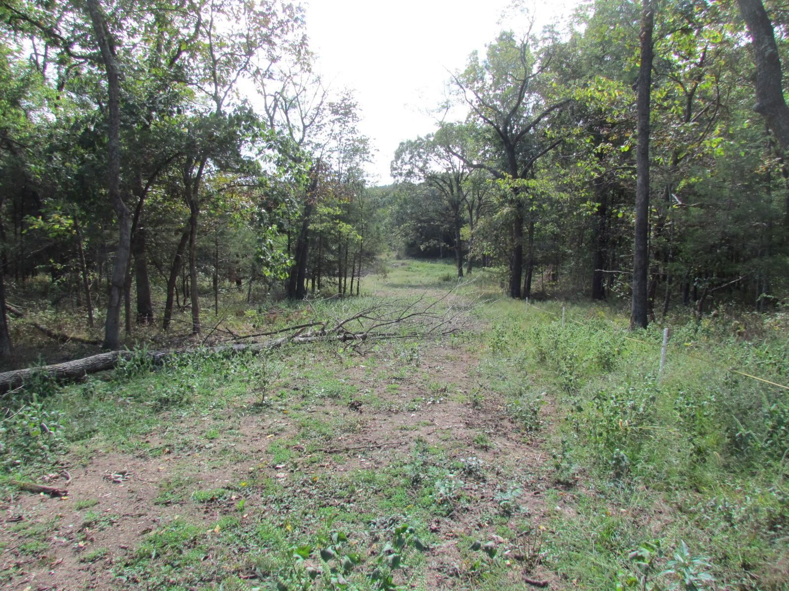 Ulman, Miller County, MO Recreational Property, Timberland Property