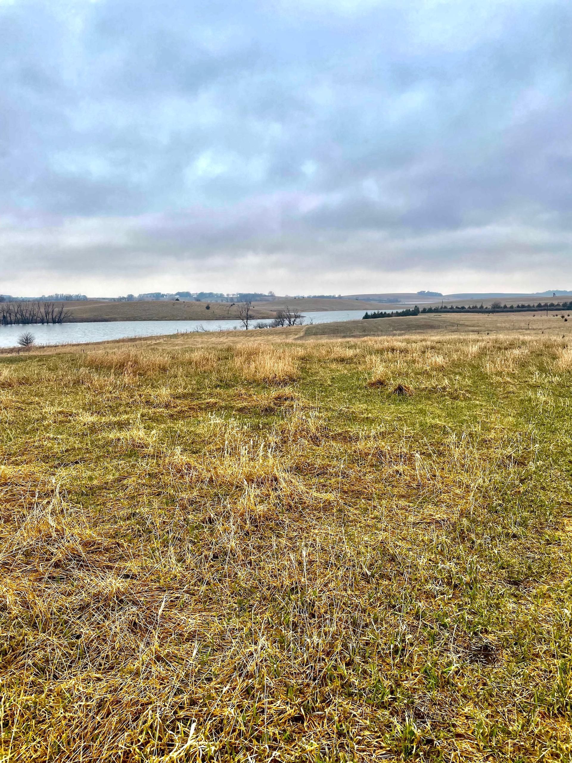 Currie, Murray County, MN Recreational Property, Hunting Property for