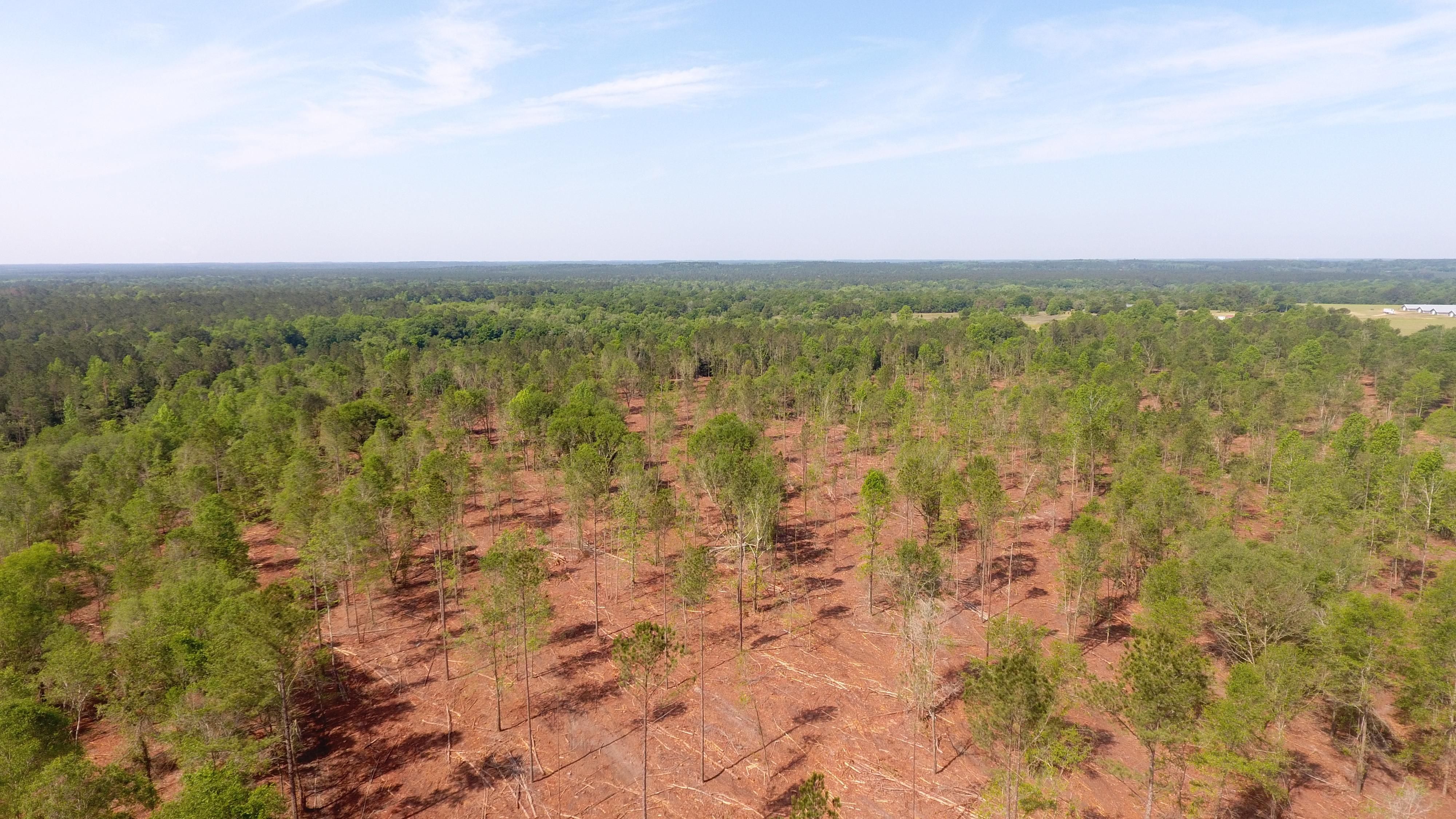 292, Collins, GA 30421 LandWatch