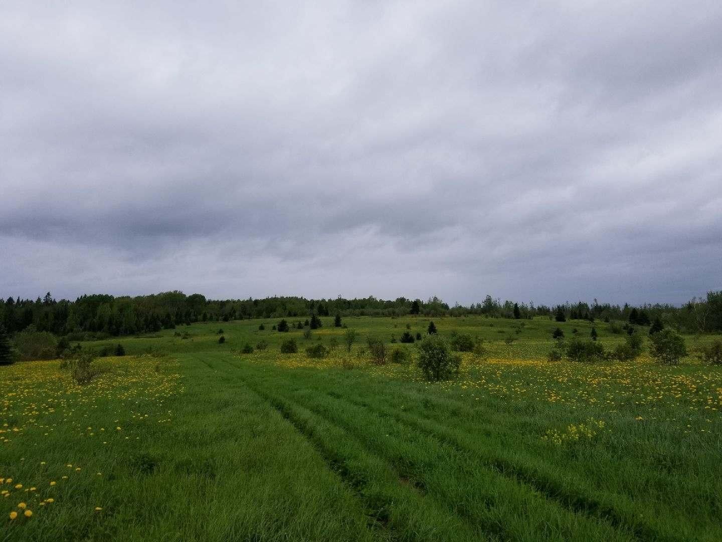 Grand Isle, Aroostook County, ME Farms and Ranches, Timberland Property