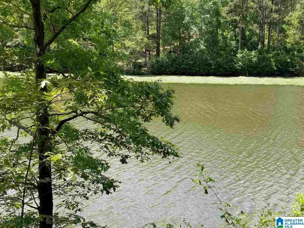 Sylacauga, Coosa County, AL Undeveloped Land, Lakefront Property