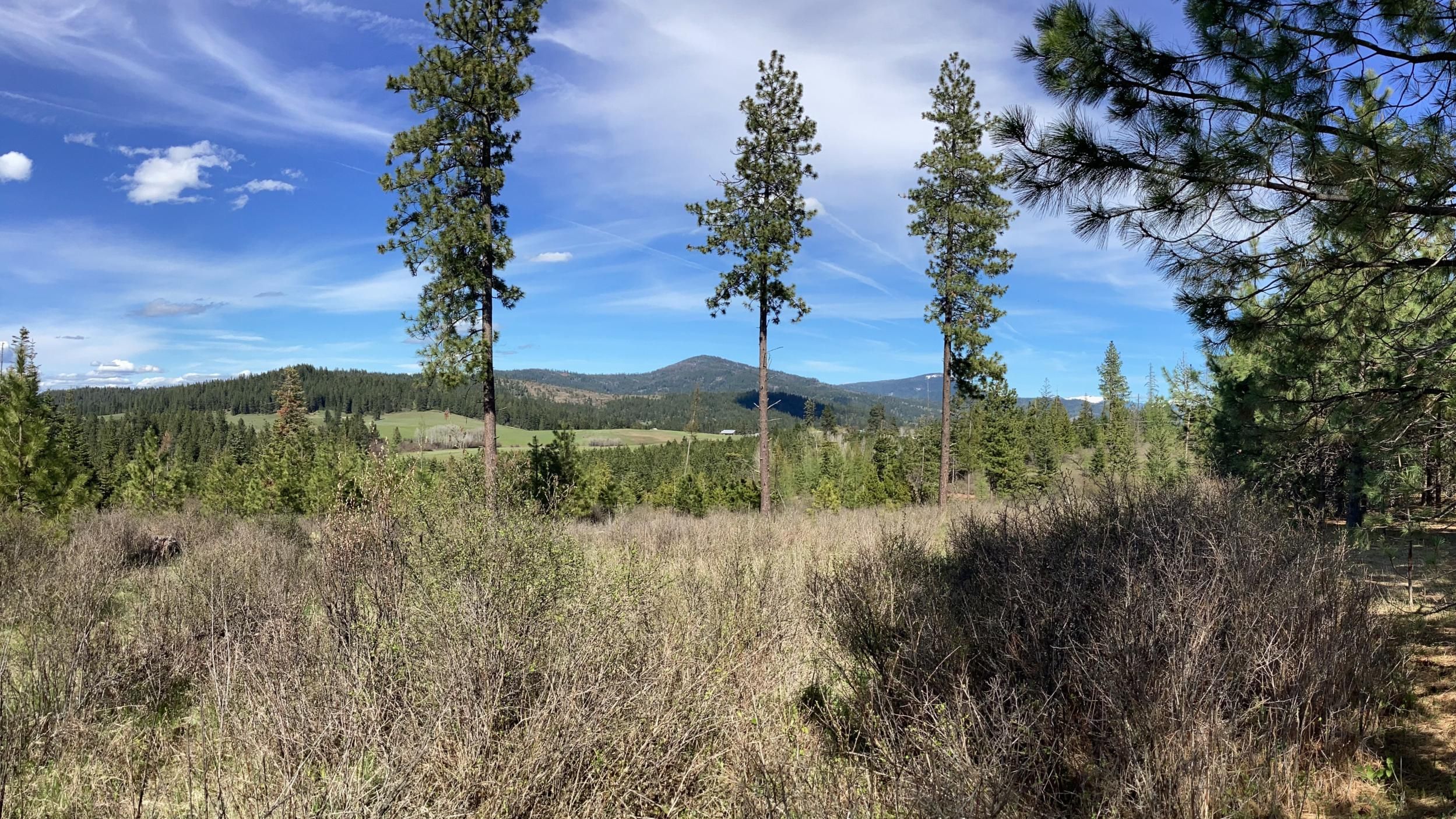 St Maries, Kootenai County, ID Recreational Property, Timberland Property, Undeveloped Land for