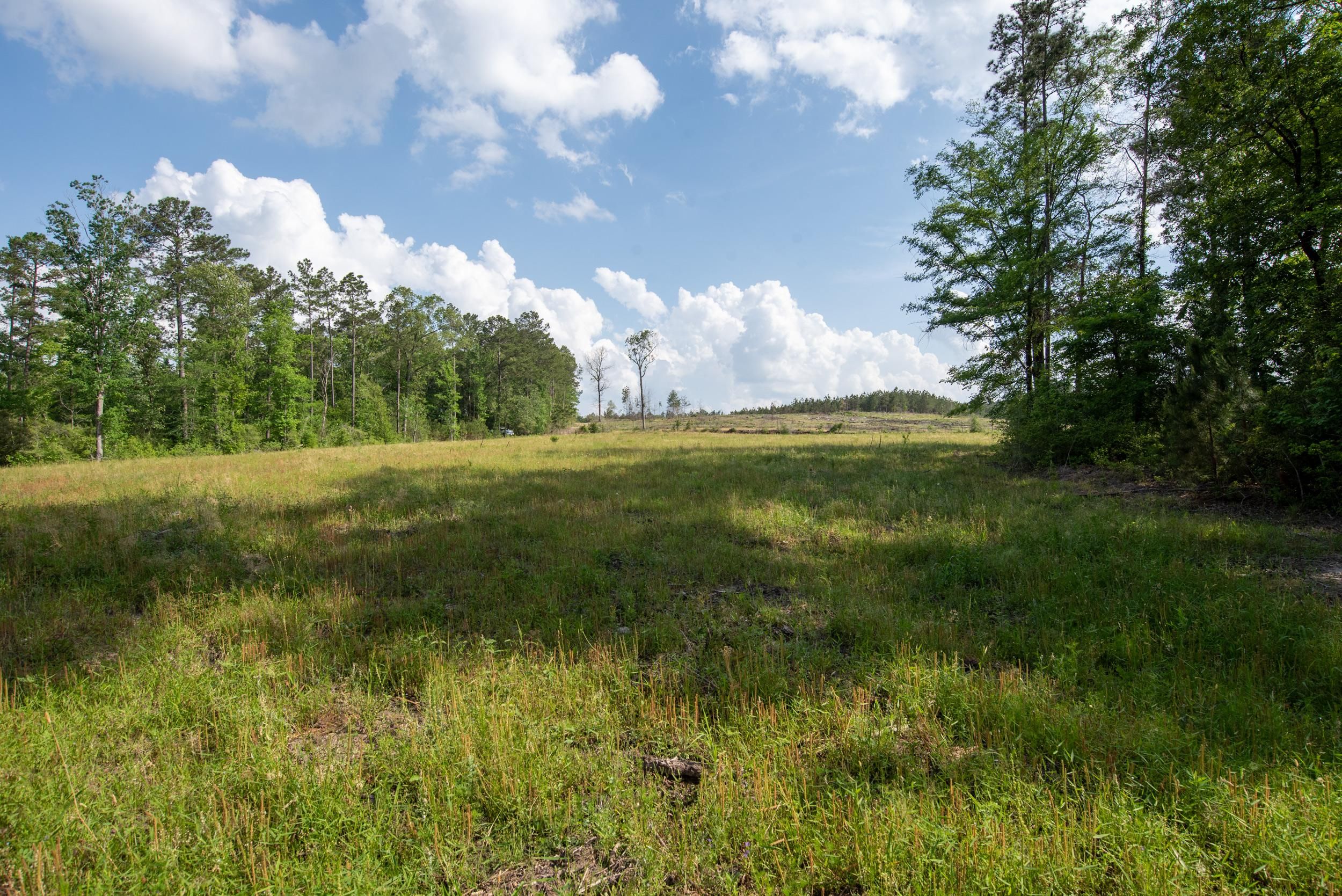 Corrigan, Polk County, TX Recreational Property, Hunting Property for
