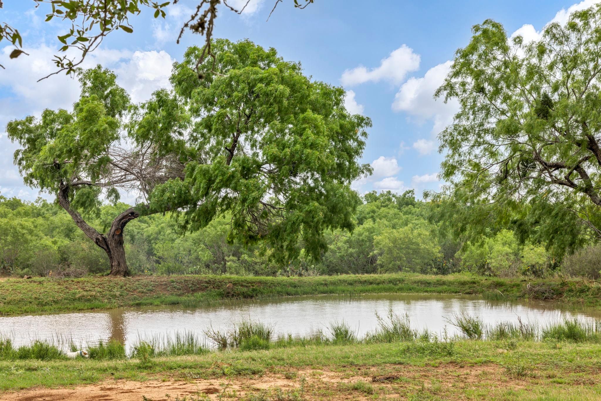 Charlotte, Atascosa County, TX Farms and Ranches, Hunting Property