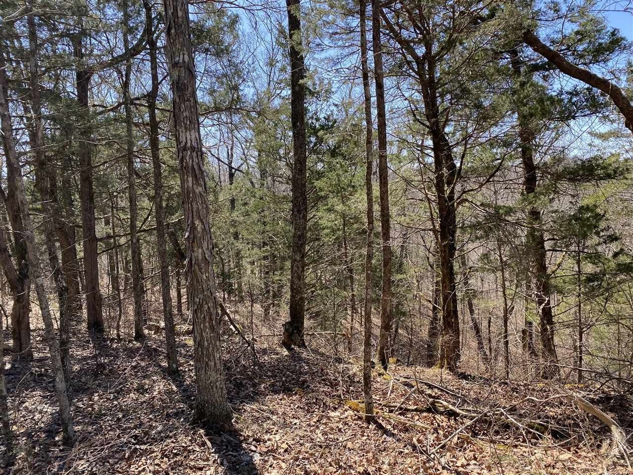 Burkesville, Cumberland County, KY Undeveloped Land, Lakefront Property
