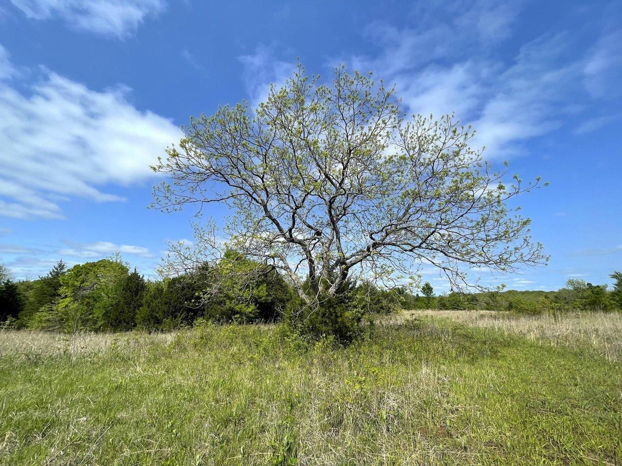 Konawa, Seminole County, OK Recreational Property, Undeveloped Land