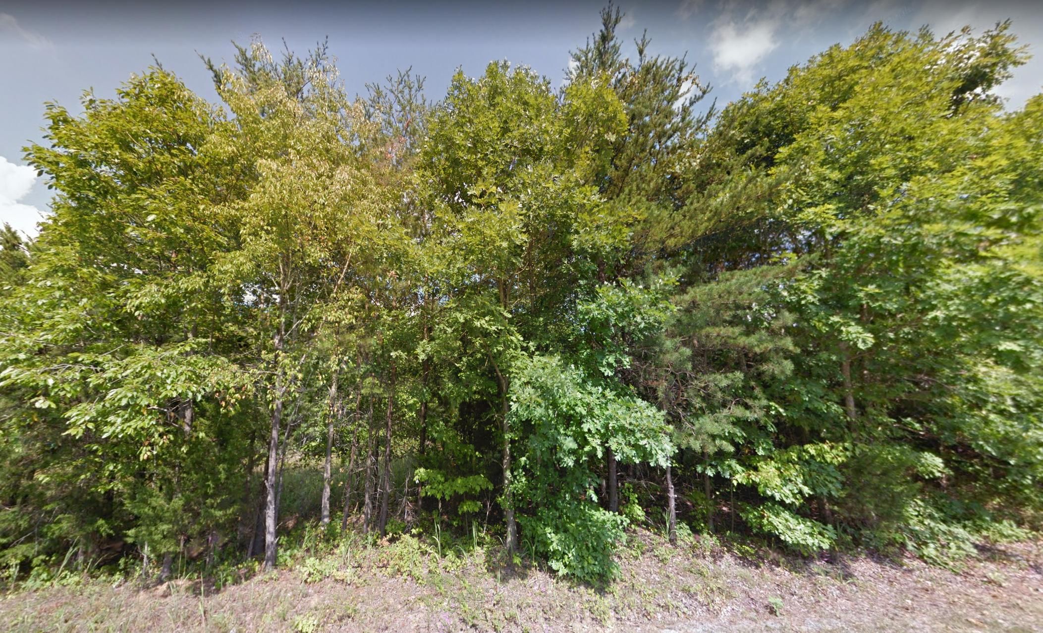 Evington, Campbell County, VA Farms and Ranches, Undeveloped Land for