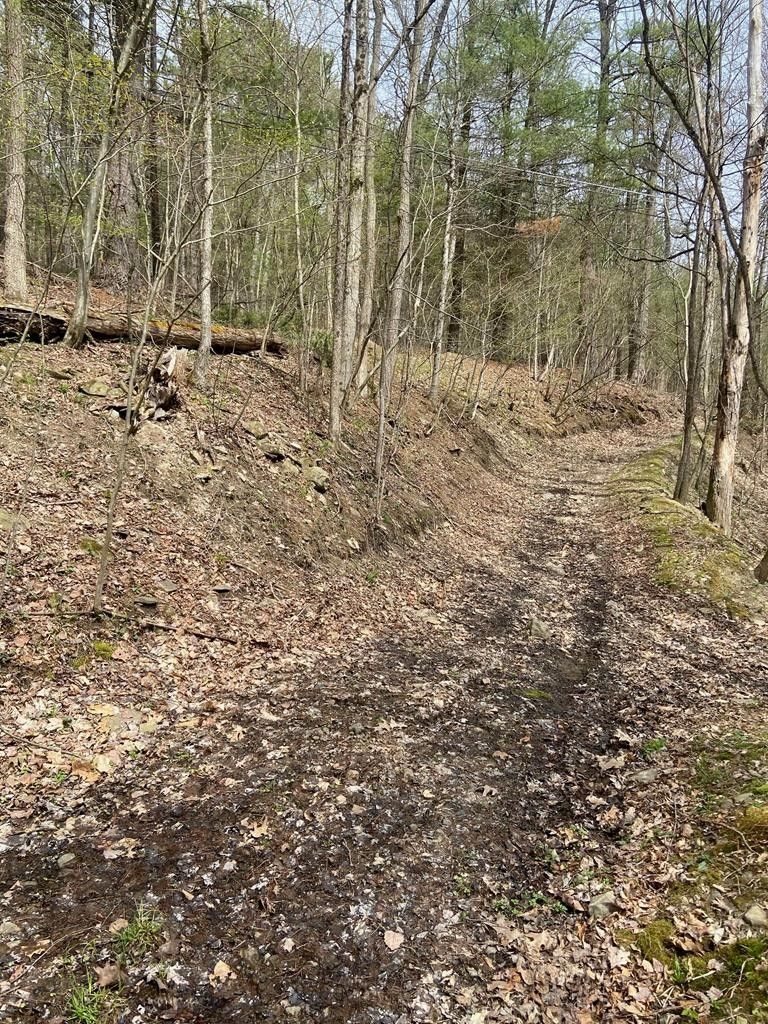 Big Flats, Chemung County, NY Undeveloped Land for sale Property ID