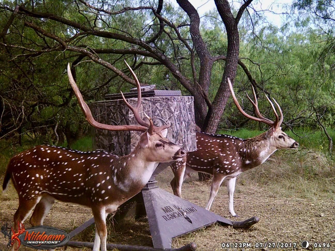 Maypearl, Ellis County, TX Farms and Ranches, Recreational Property