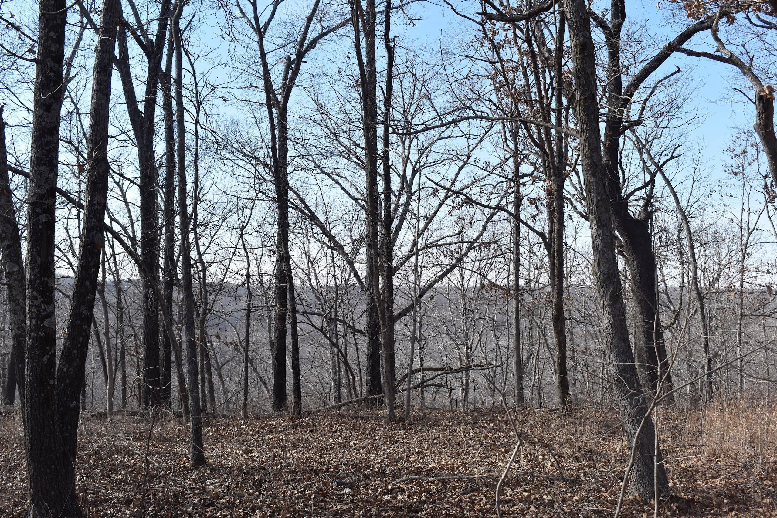 Edwards, Camden County, MO Recreational Property, Timberland Property