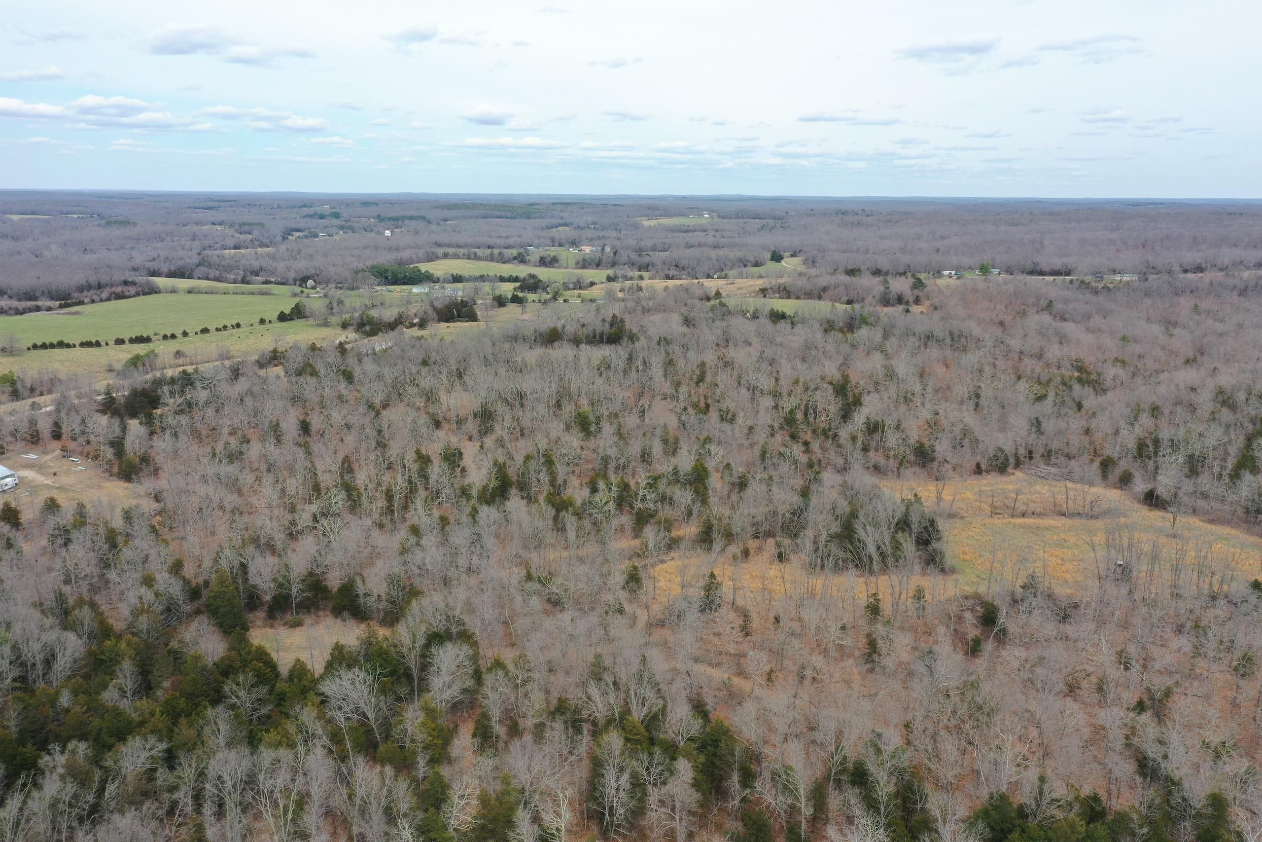 Edgar Springs, Dent County, MO Recreational Property, Timberland