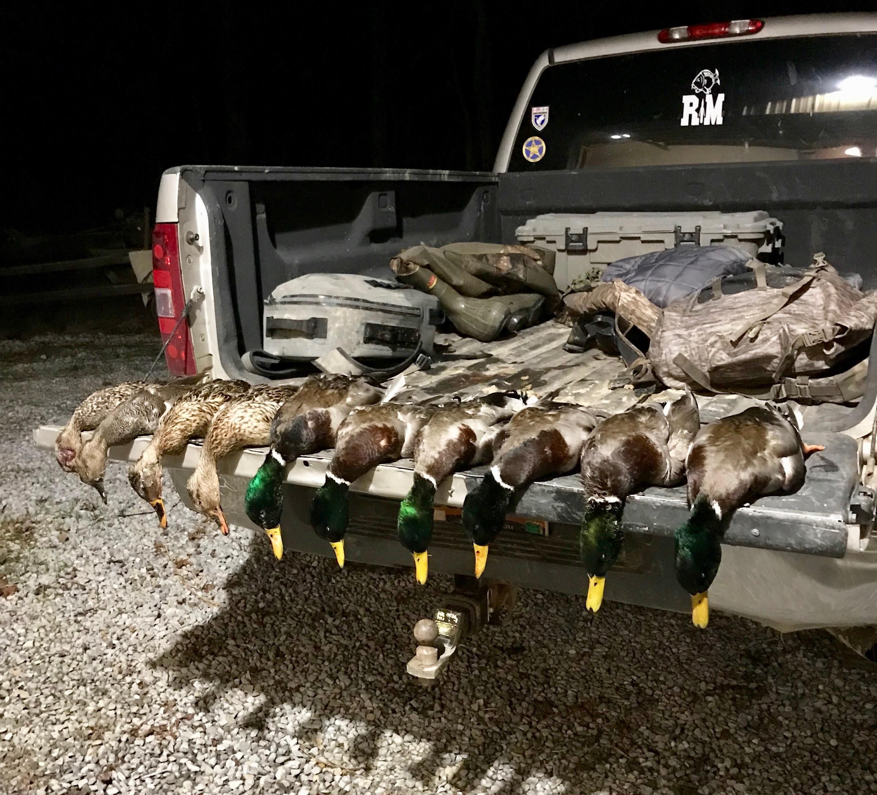 Stonefort, Saline County, IL Recreational Property, Timberland Property, Hunting Property for