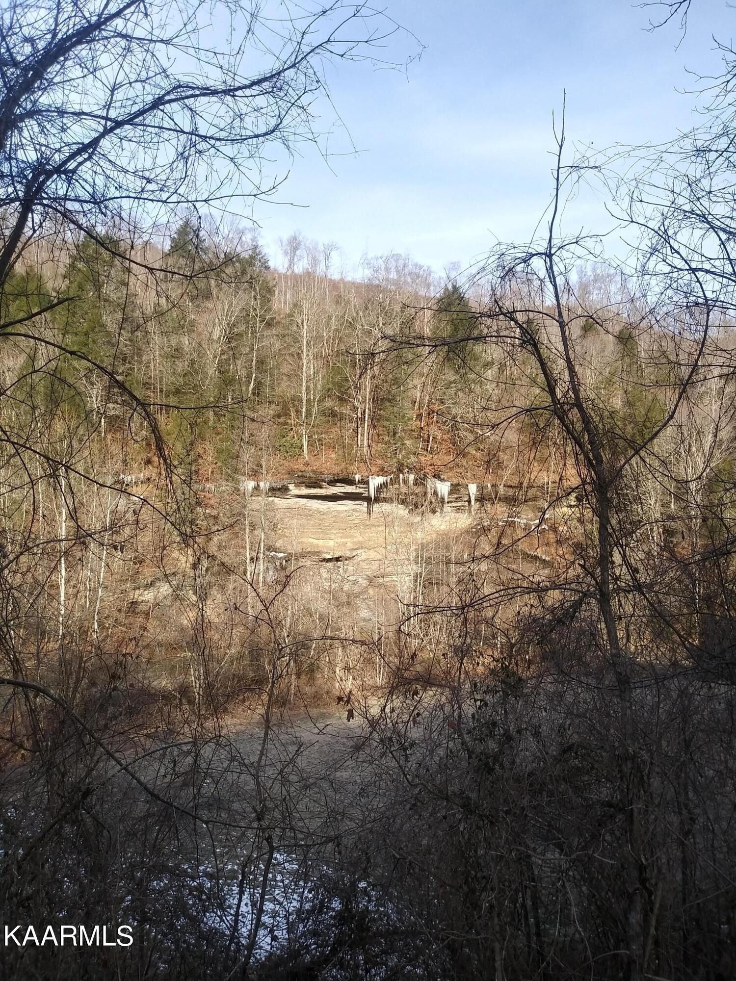 Pioneer, Campbell County, TN Undeveloped Land for sale Property ID