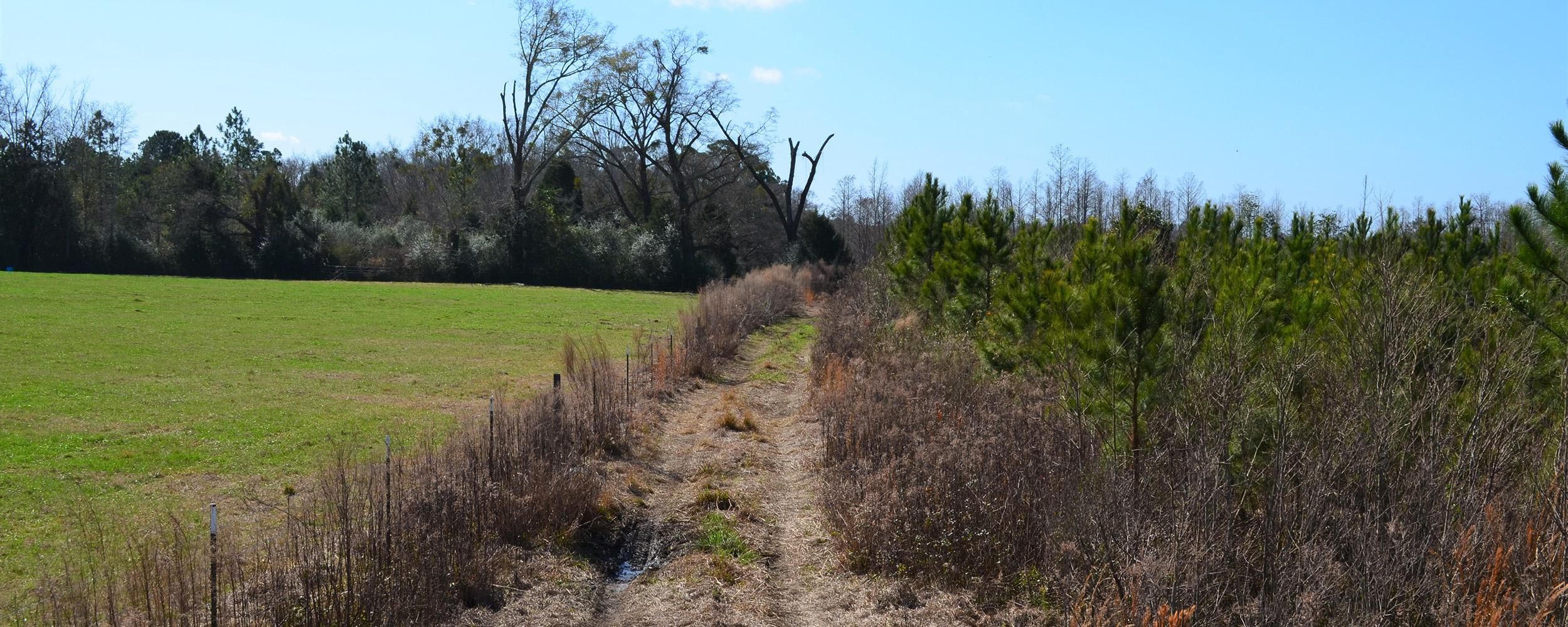 Bonifay, Holmes County, FL Recreational Property, Timberland Property, Hunting Property for sale