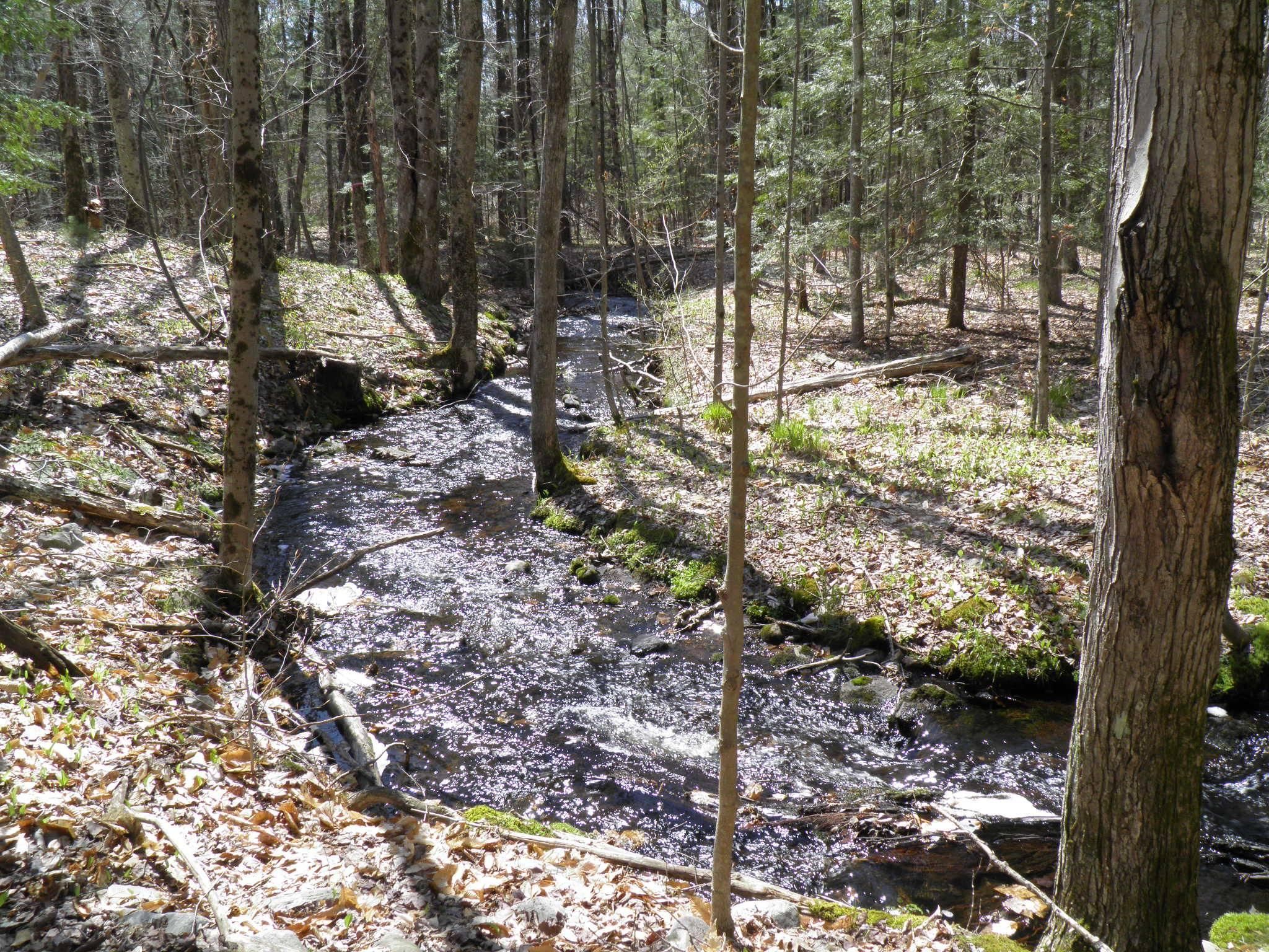 Cleveland, Oneida County, NY Recreational Property, Hunting Property