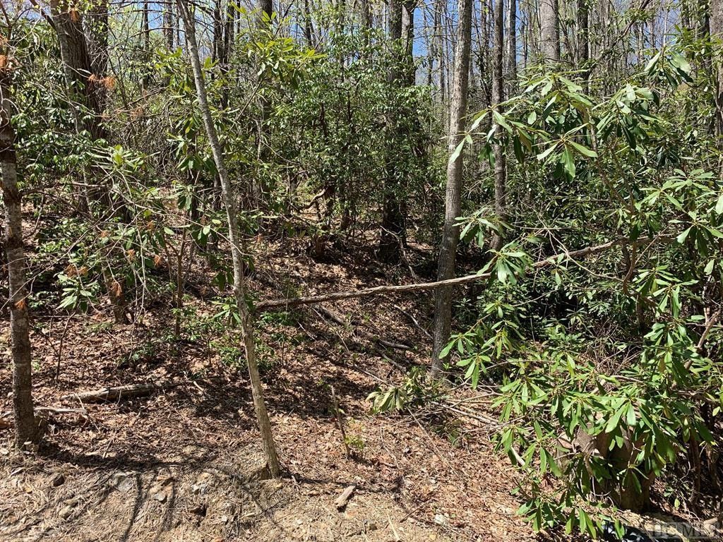 Sapphire, Jackson County, NC Undeveloped Land, Homesites for sale