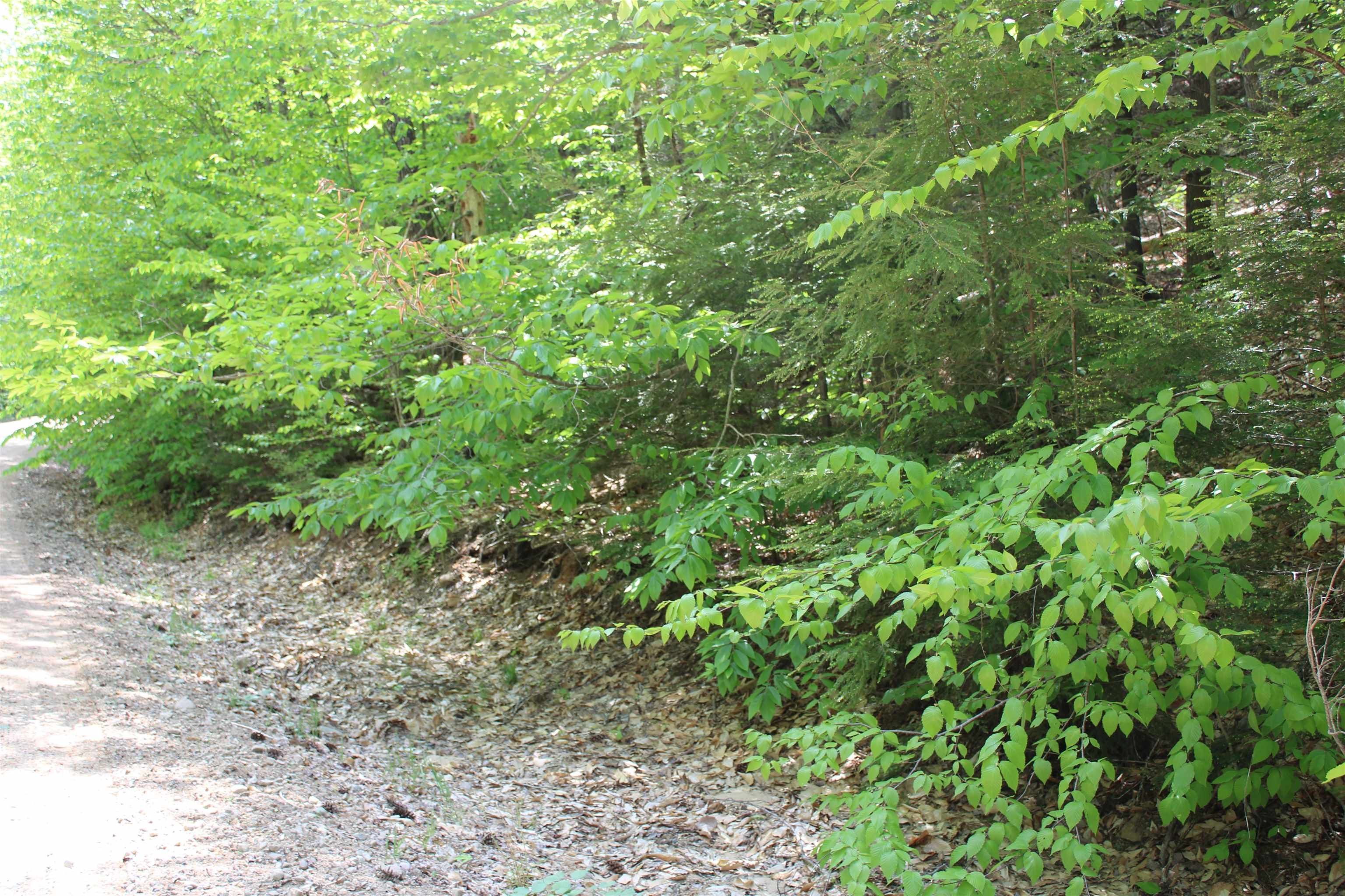 Campton, Grafton County, NH Undeveloped Land, Homesites for sale