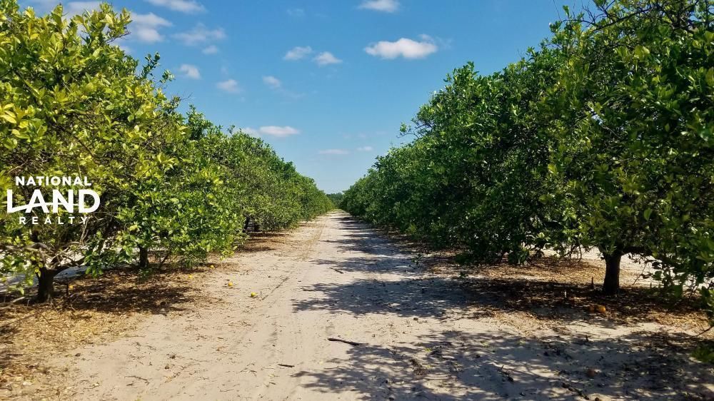Frostproof, Polk County, FL Farms and Ranches for sale Property ID