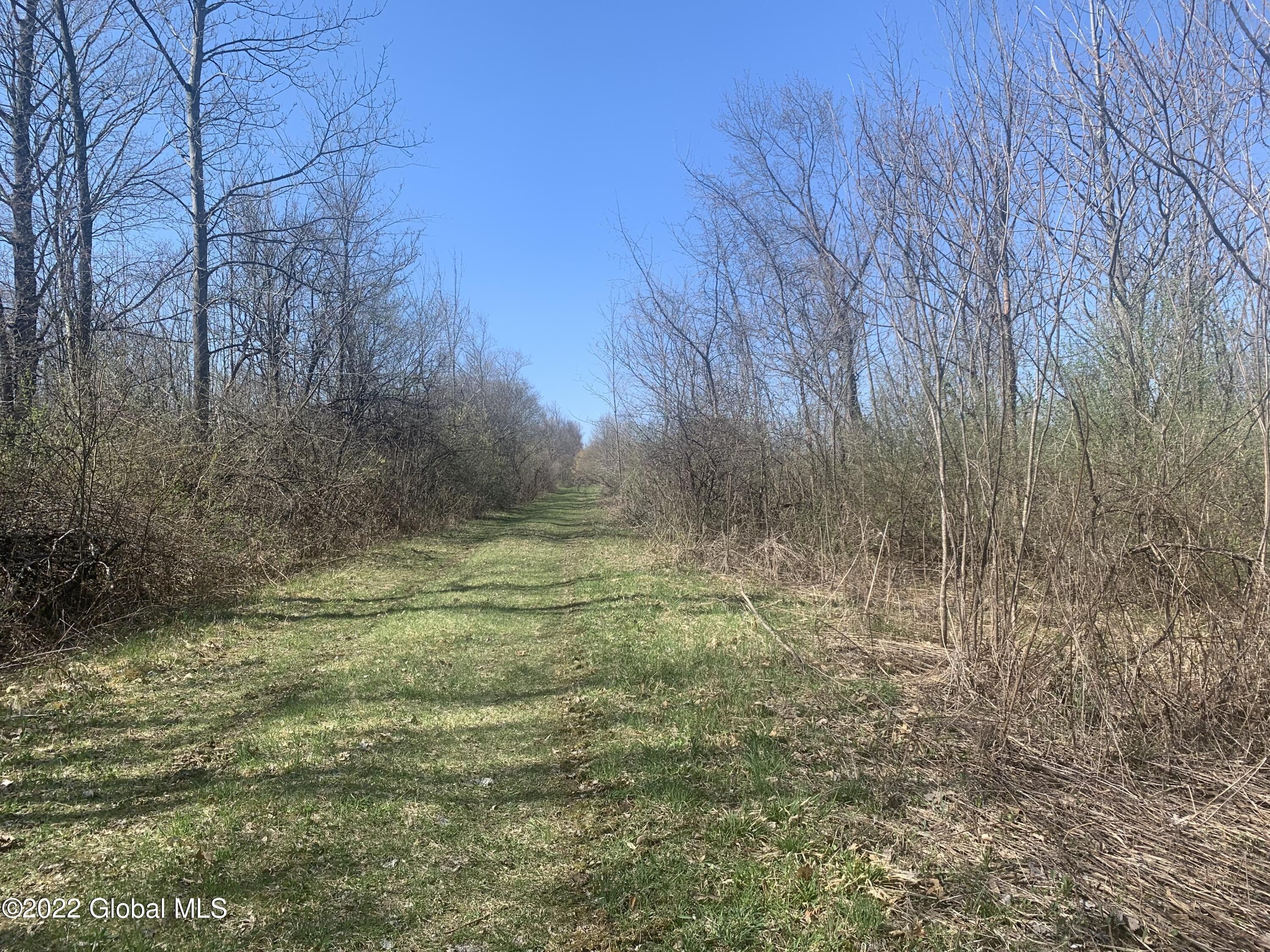 Fultonville, Montgomery County, NY Undeveloped Land for sale Property