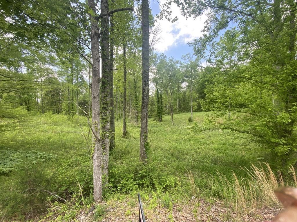 Hilham, Jackson County, TN Farms and Ranches for sale Property ID