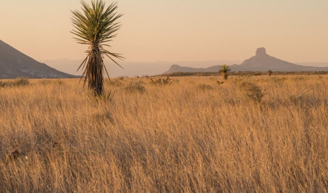 El Indio, Presidio County, TX Recreational Property, Undeveloped Land for sale Property ID