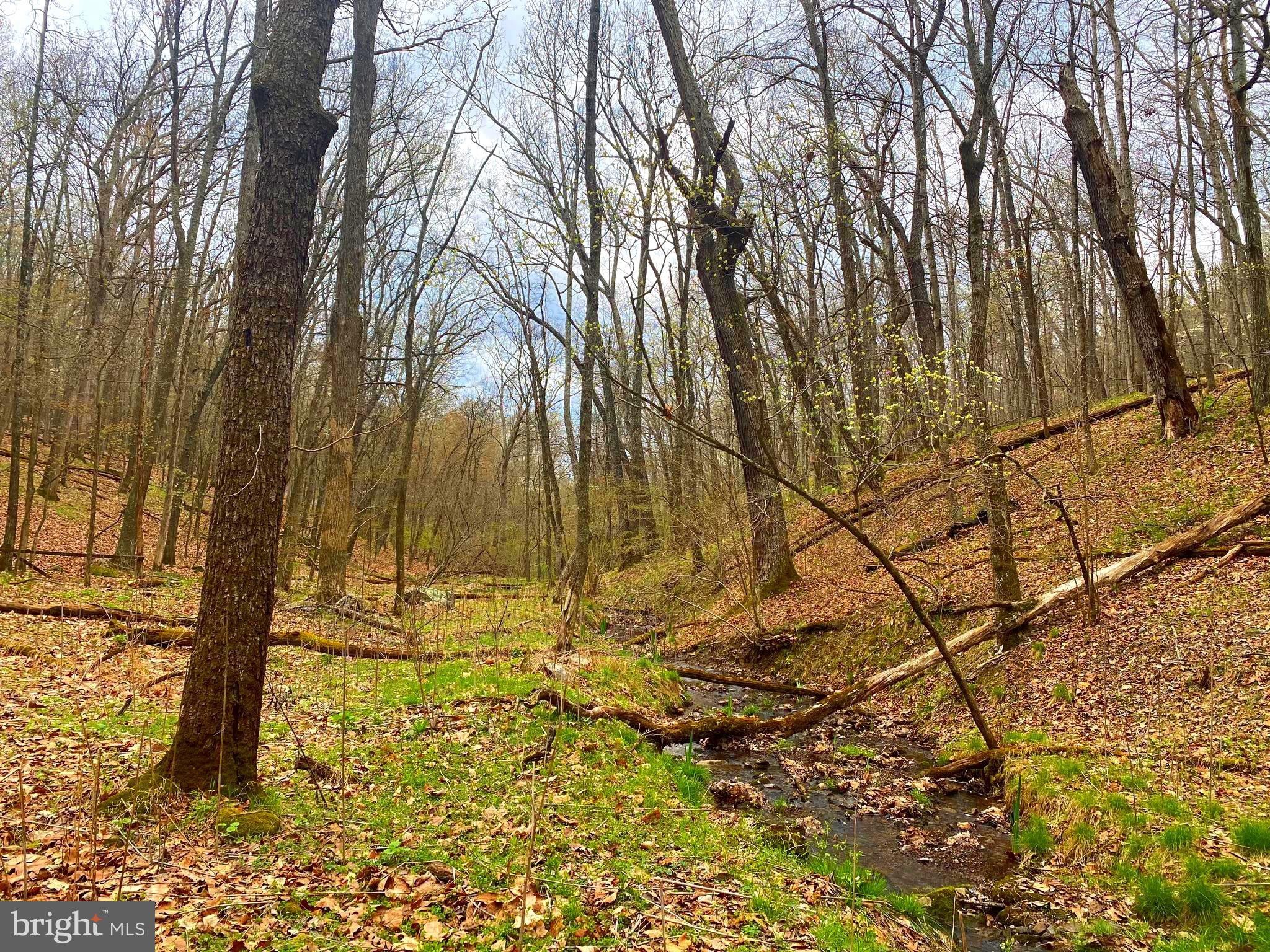 Old Fields, Hardy County, WV Undeveloped Land, Lakefront Property