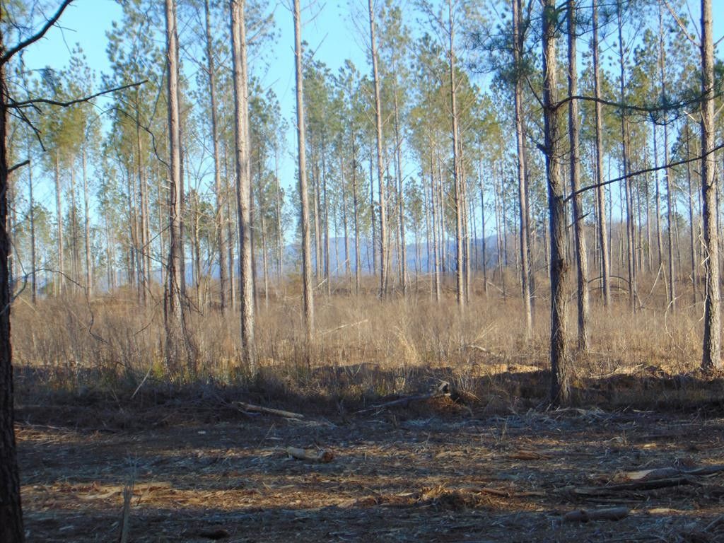 Cleveland, Bradley County, TN Undeveloped Land for sale Property ID