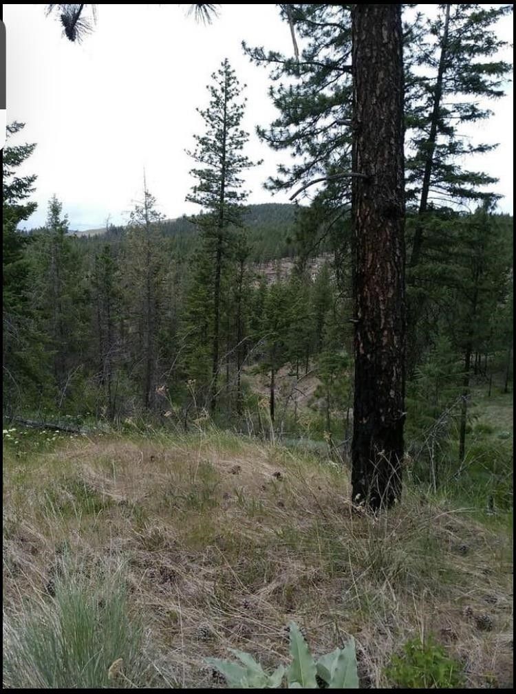 Fruitland, Stevens County, WA Undeveloped Land for sale Property ID