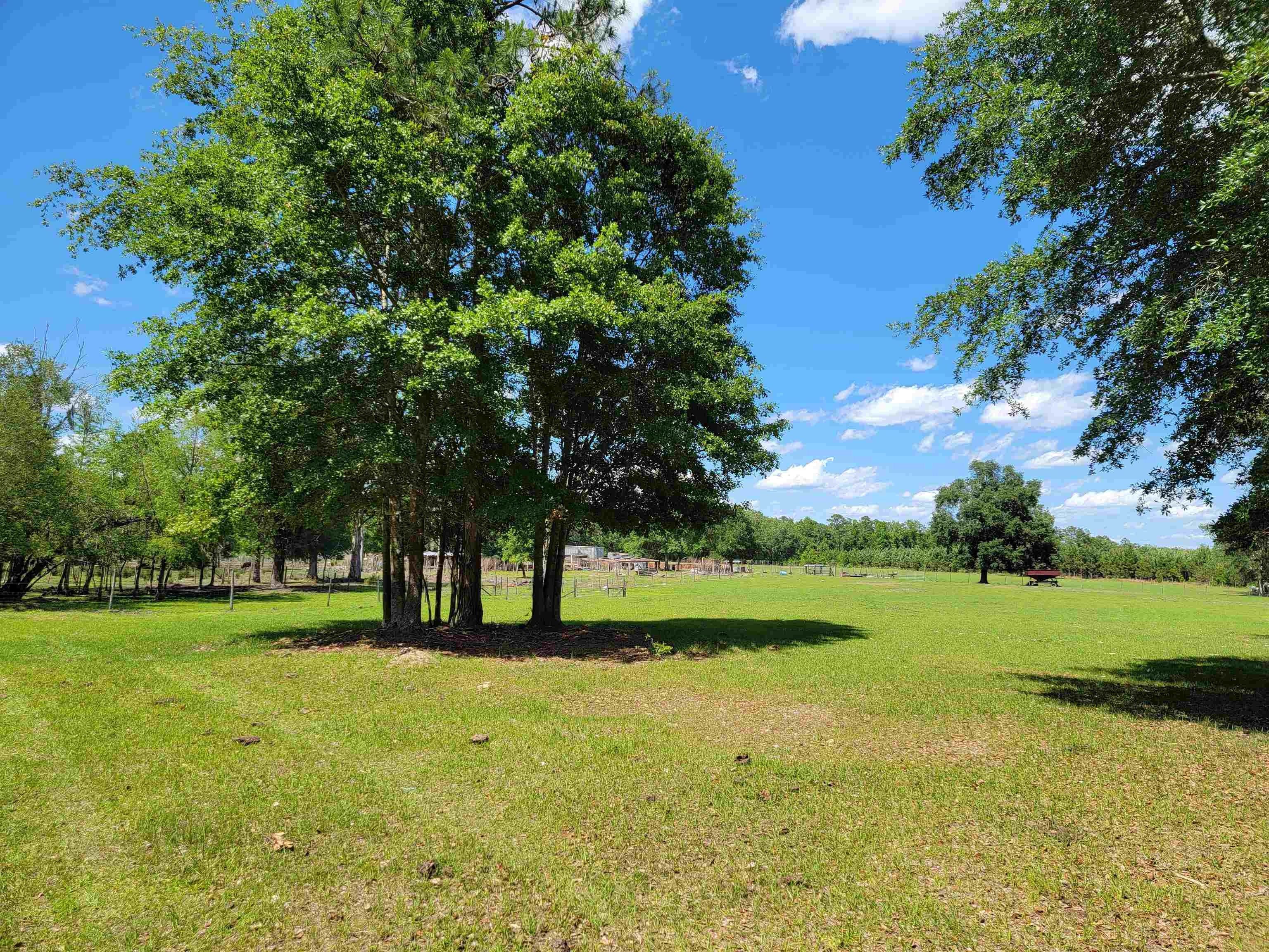 Madison, Madison County, FL Undeveloped Land for sale Property ID