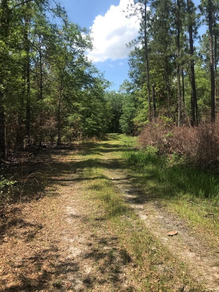 Newton, Baker County, GA Undeveloped Land for sale Property ID