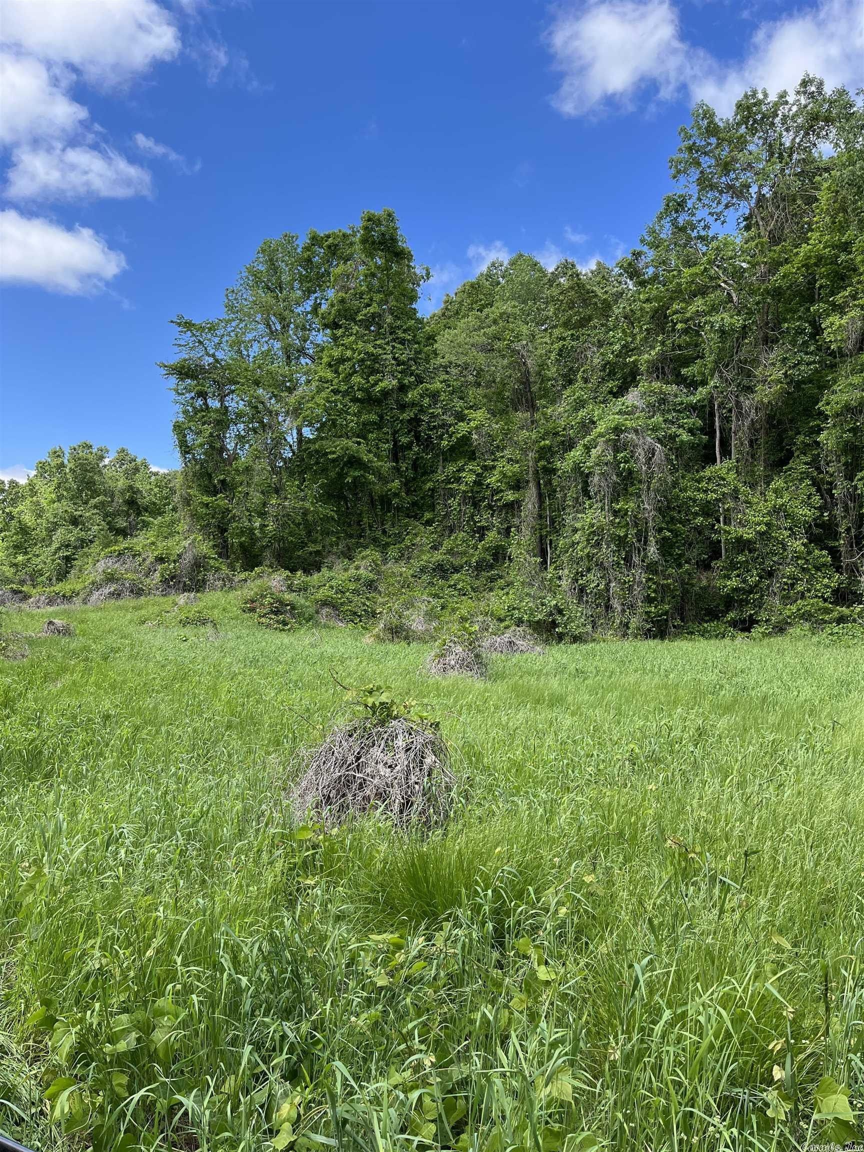 Forrest City, Saint Francis County, AR Undeveloped Land, Lakefront