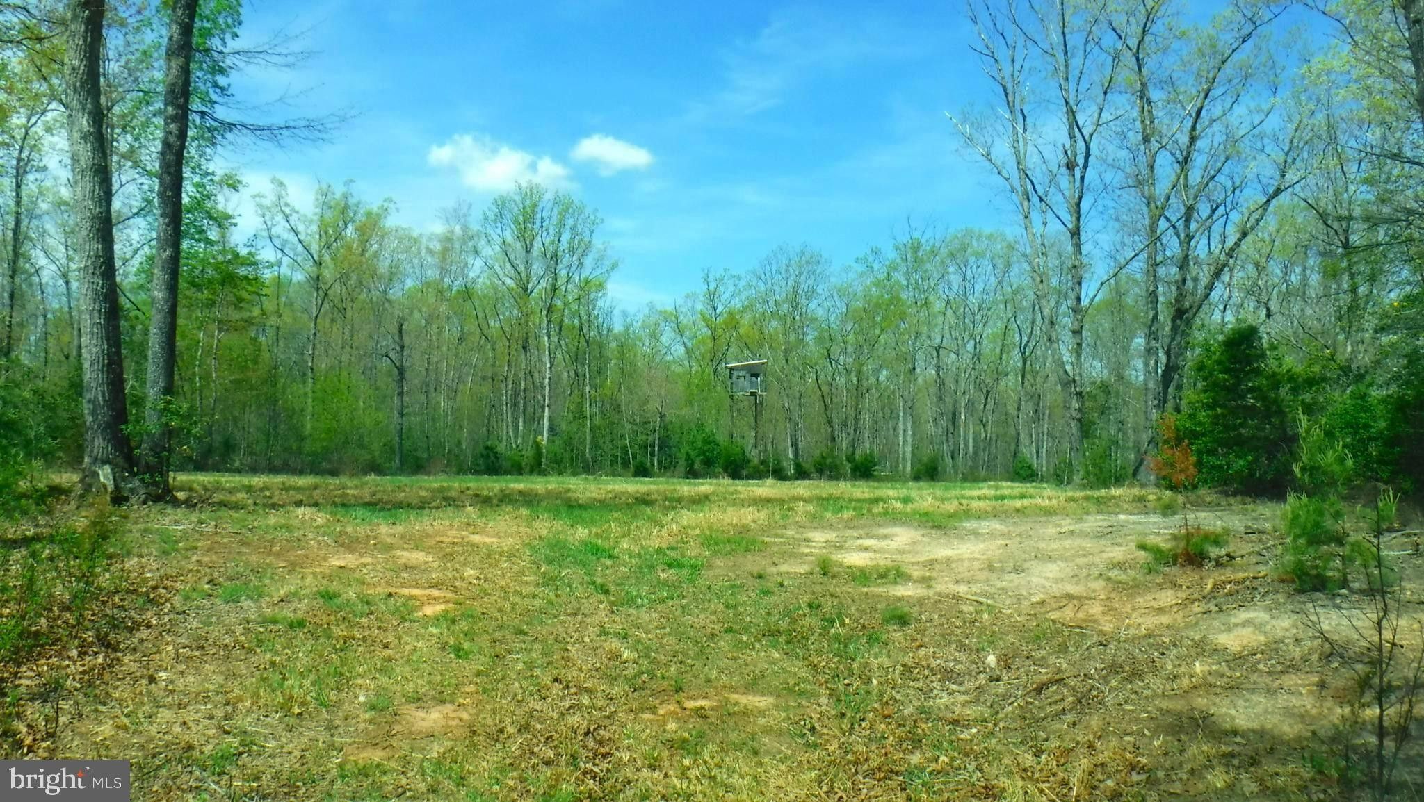 Unionville, Orange County, VA Undeveloped Land for sale Property ID
