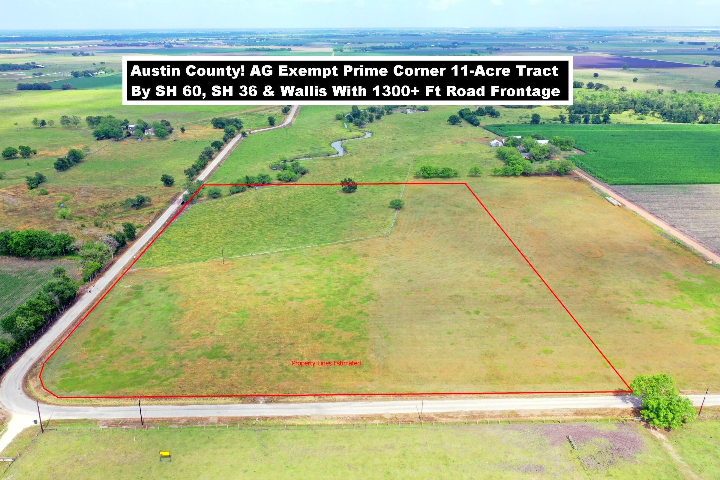 Wallis, Austin County, TX Farms and Ranches for sale Property ID